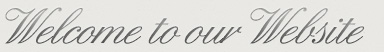 Darby Group Real Estate Team